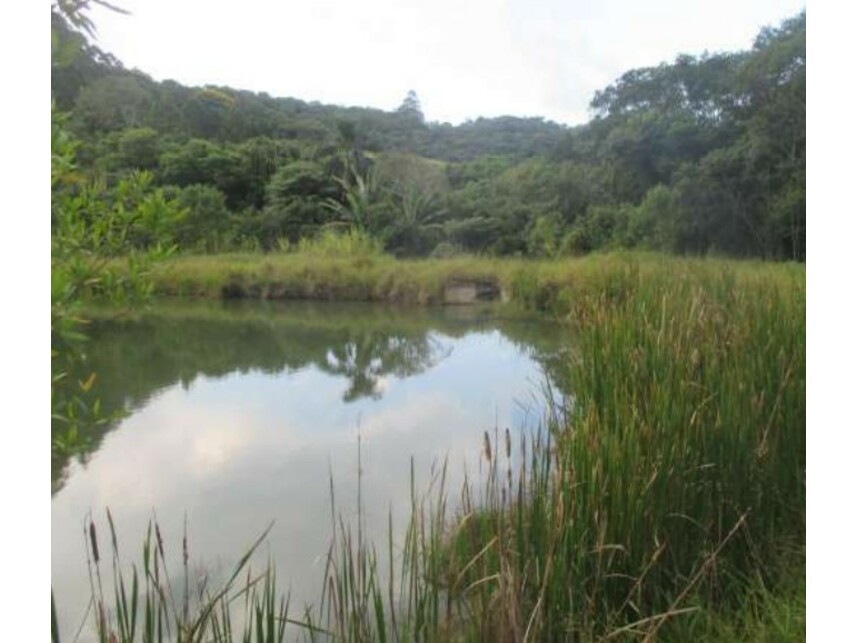 Imagem 12 do Leilão de Sítio - Pinheirinhos - São Roque/SP