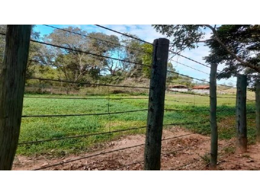 Imagem 39 do Leilão de Sítio - Caiacatinga - Porto Feliz/SP