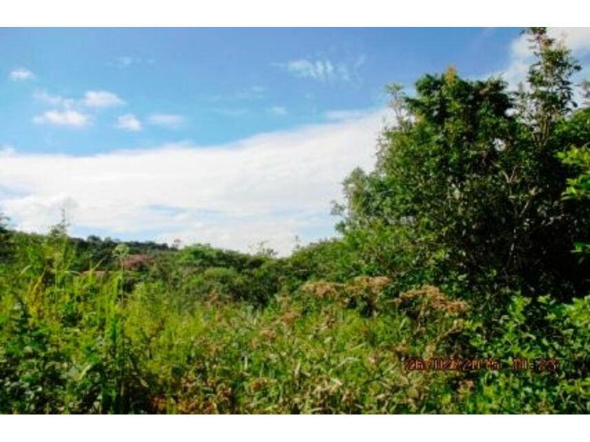 Imagem 21 do Leilão de Terreno - Loteamento Terra dos Cuiabás - Tiradentes/MG