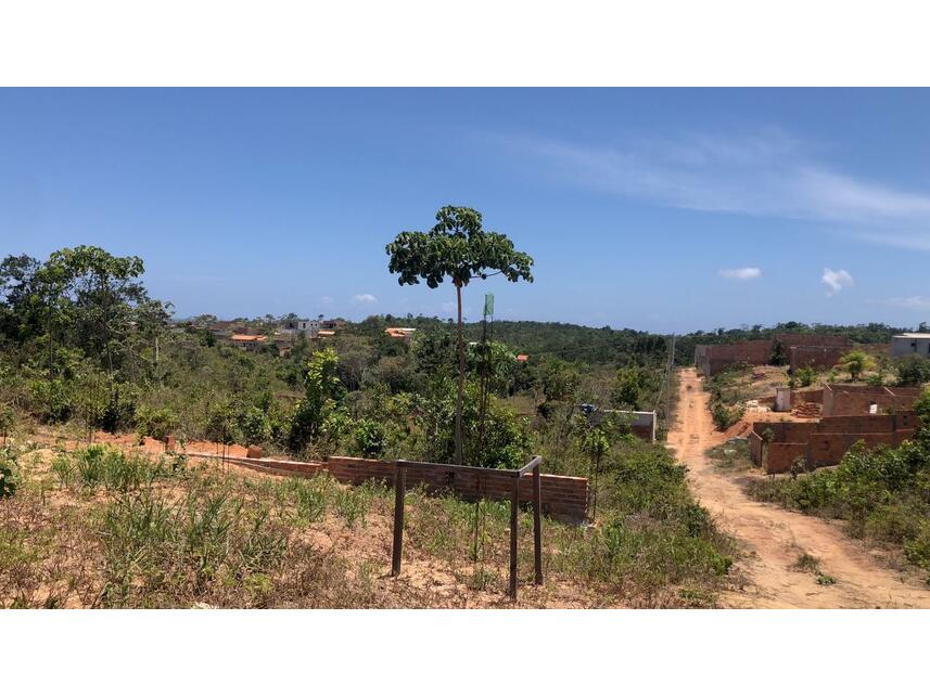 Imagem 7 do Leilão de Fazenda - Zona Rural - Camaçari/BA