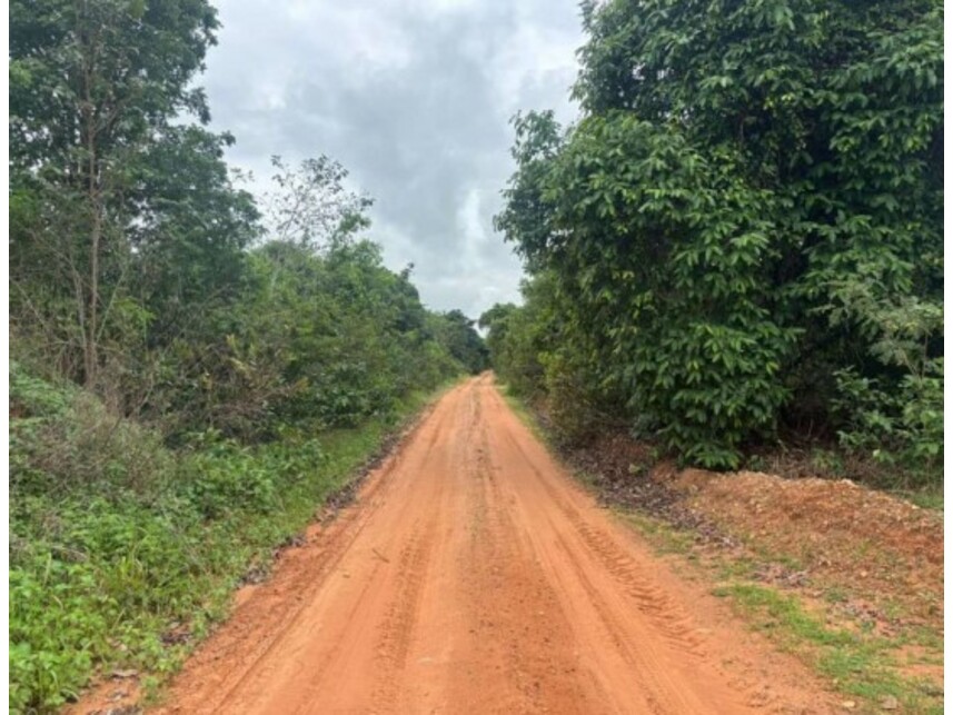 Imagem 6 do Leilão de Fazenda - Zona Rural - Bom Jesus de Goiás/GO