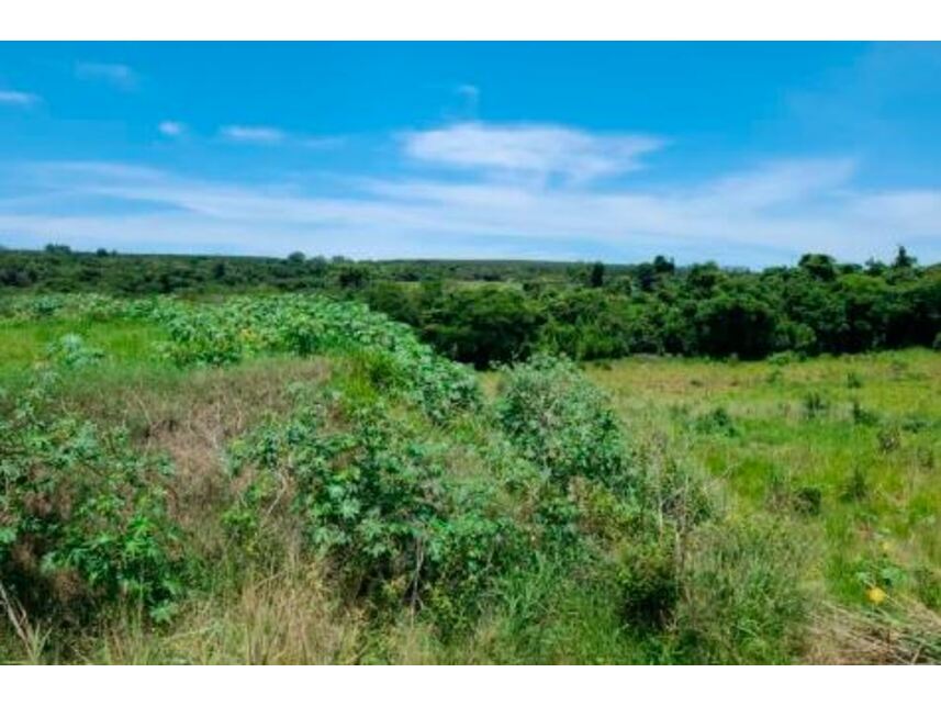 Imagem 12 do Leilão de Áreas Rurais - Zona Rural - Paranavaí/PR