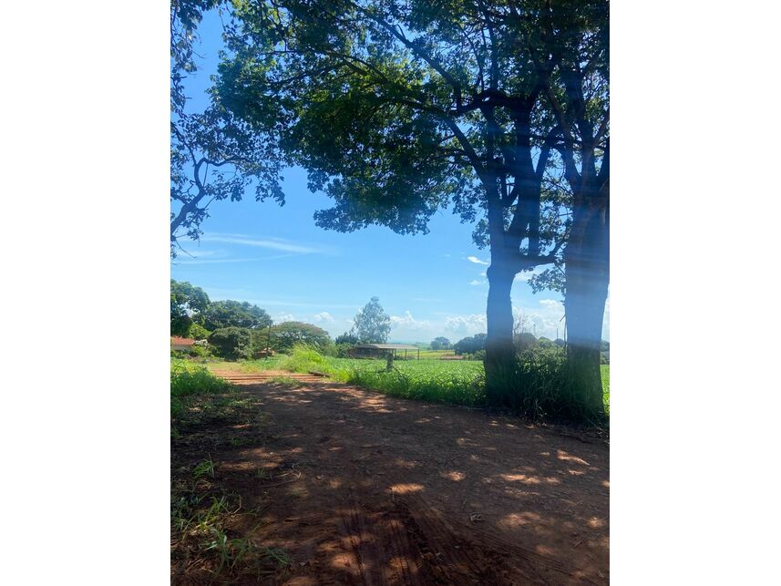 Imagem 6 do Leilão de Gleba de Terras - Zona Rural - Maracaí/SP