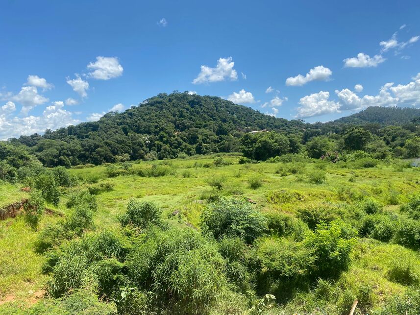 Imagem 1 do Leilão de Terreno - Não informado - Socorro/SP