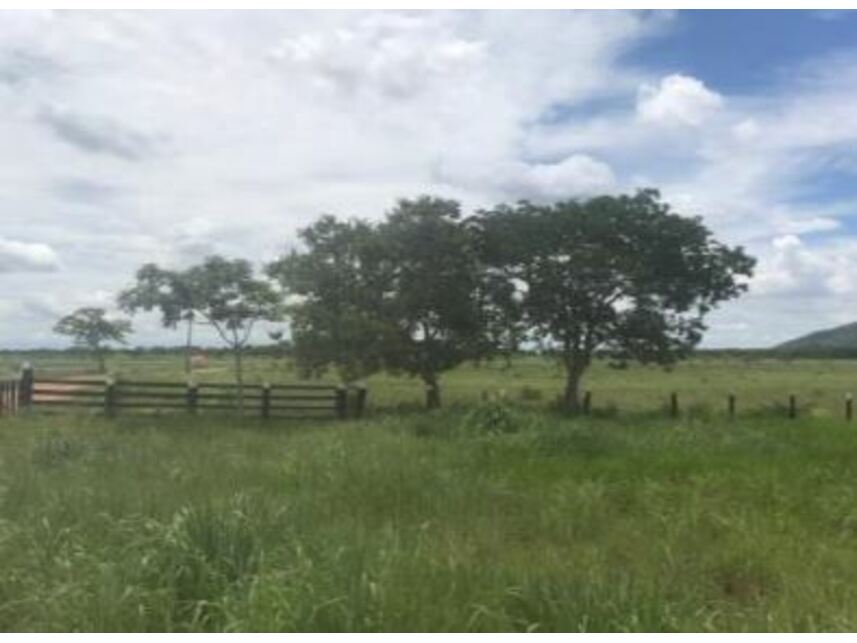 Imagem 8 do Leilão de Área Rural - Área Rural - Santo Antônio do Leverger/MT