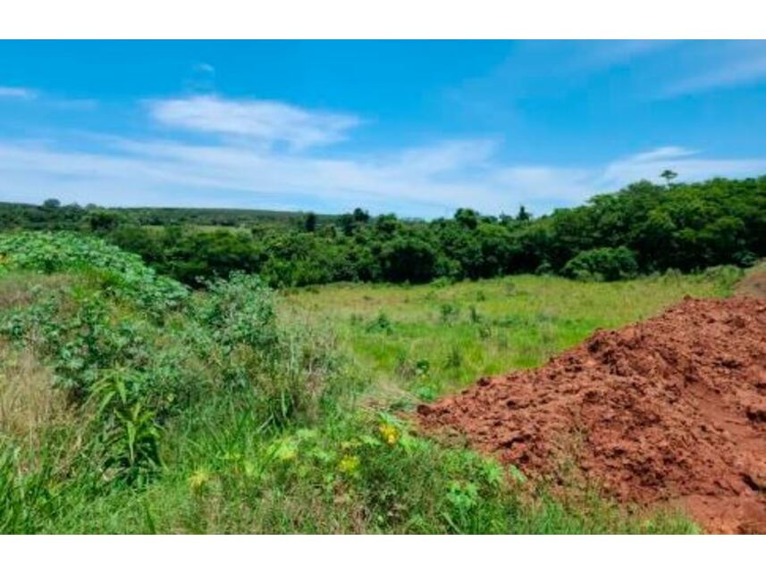 Imagem 8 do Leilão de Áreas Rurais - Zona Rural - Paranavaí/PR