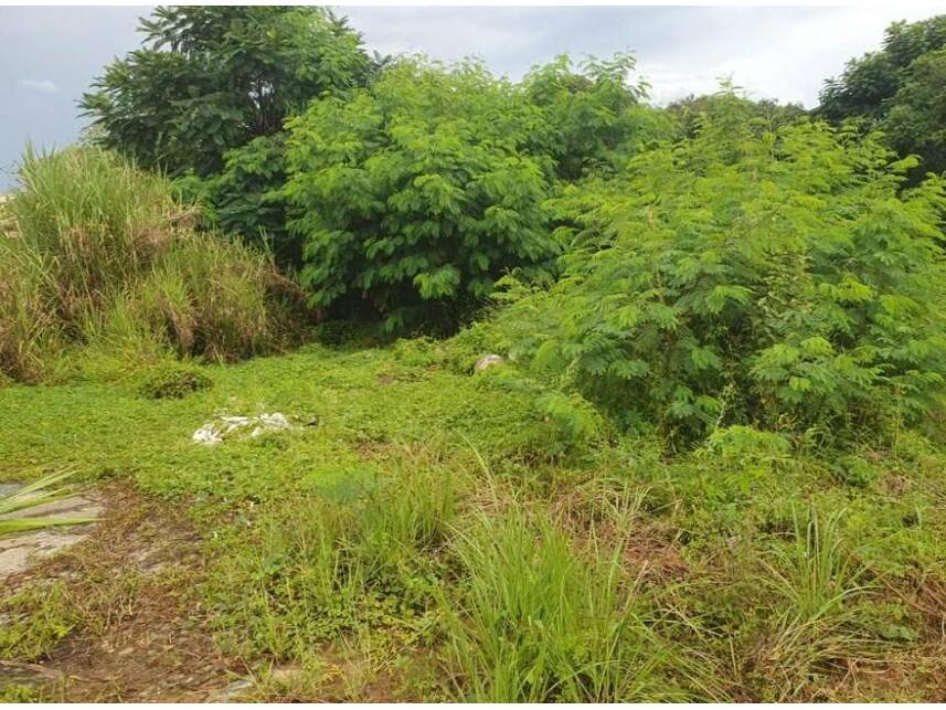 Imagem 10 do Leilão de Terreno - Itanguá - Sorocaba/SP