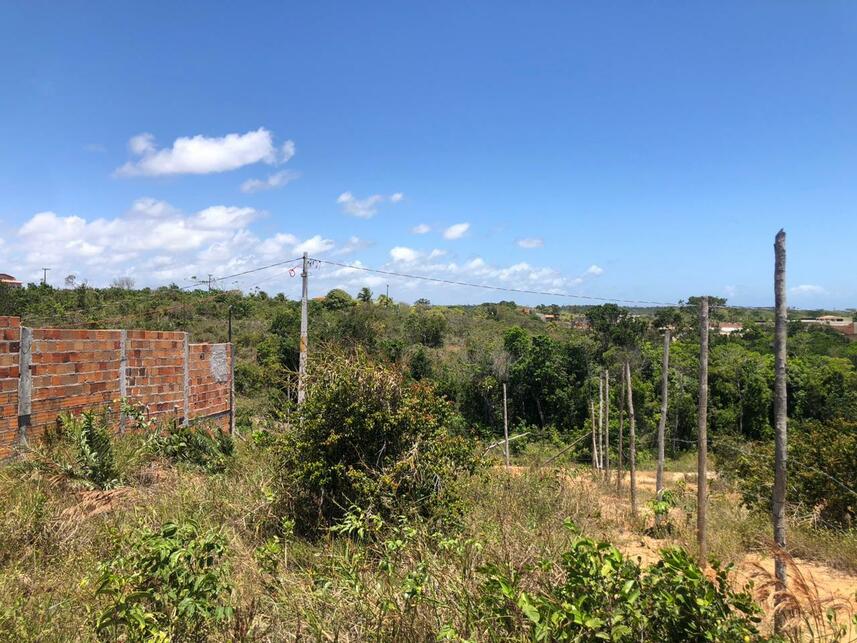 Imagem 3 do Leilão de Fazenda - Zona Rural - Camaçari/BA