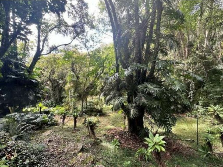 Imagem 4 do Leilão de Terreno - Itapetininga - Atibaia/SP