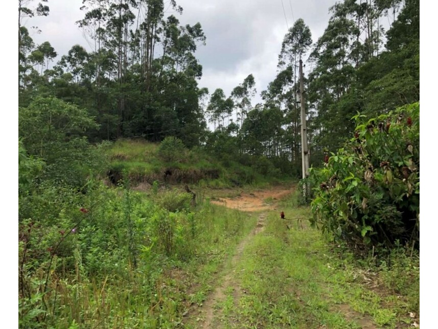 Imagem 4 do Leilão de Área Rural - Verava - Ibiúna/SP