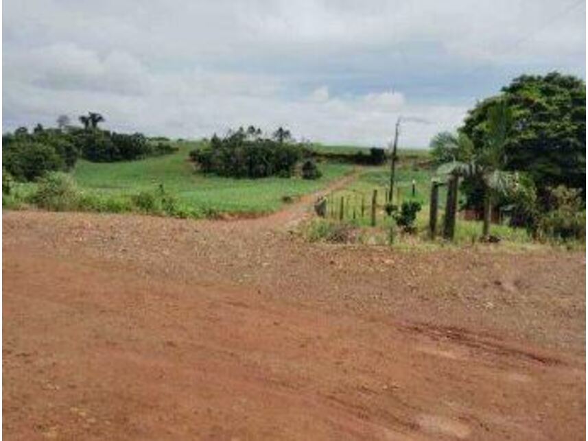 Imagem 3 do Leilão de Área Rural - Zona Rural - Iretama/PR