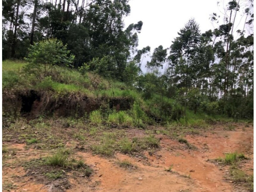 Imagem 7 do Leilão de Área Rural - Verava - Ibiúna/SP