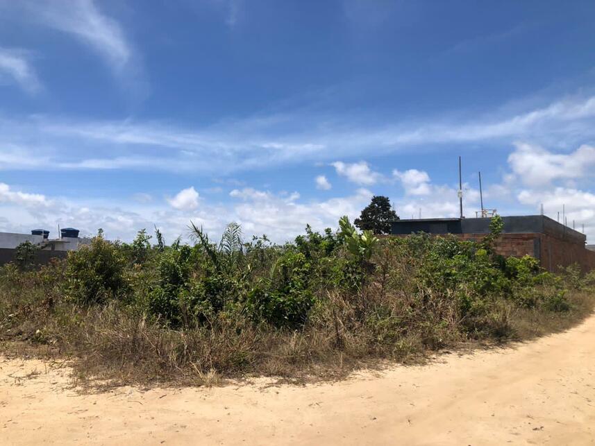 Imagem 6 do Leilão de Fazenda - Zona Rural - Camaçari/BA