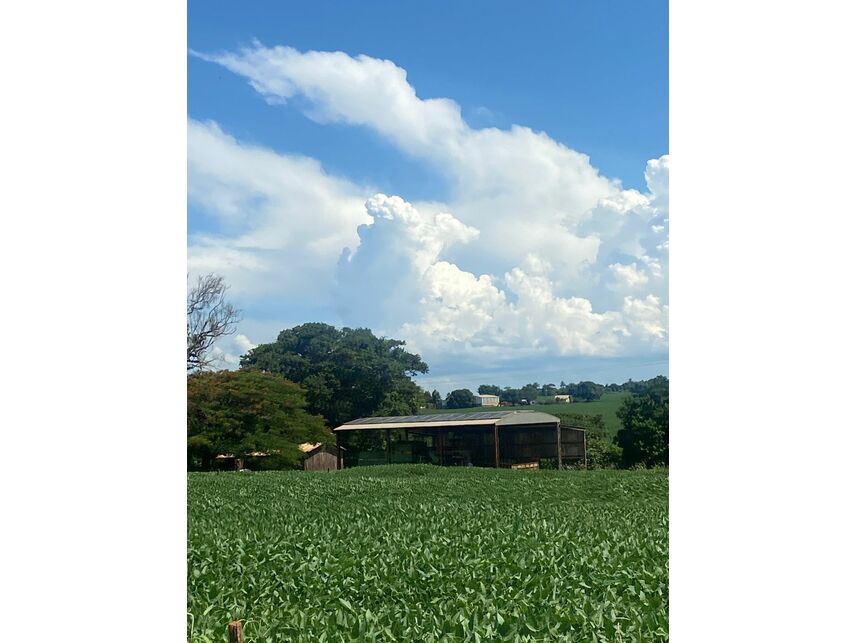 Imagem 5 do Leilão de Gleba de Terras - Zona Rural - Maracaí/SP