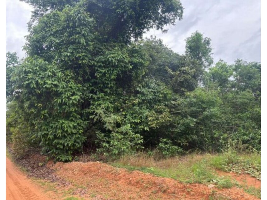 Imagem 5 do Leilão de Fazenda - Zona Rural - Bom Jesus de Goiás/GO