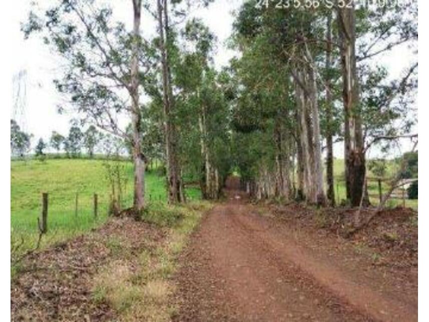 Imagem 2 do Leilão de Área Rural - Zona Rural - Iretama/PR