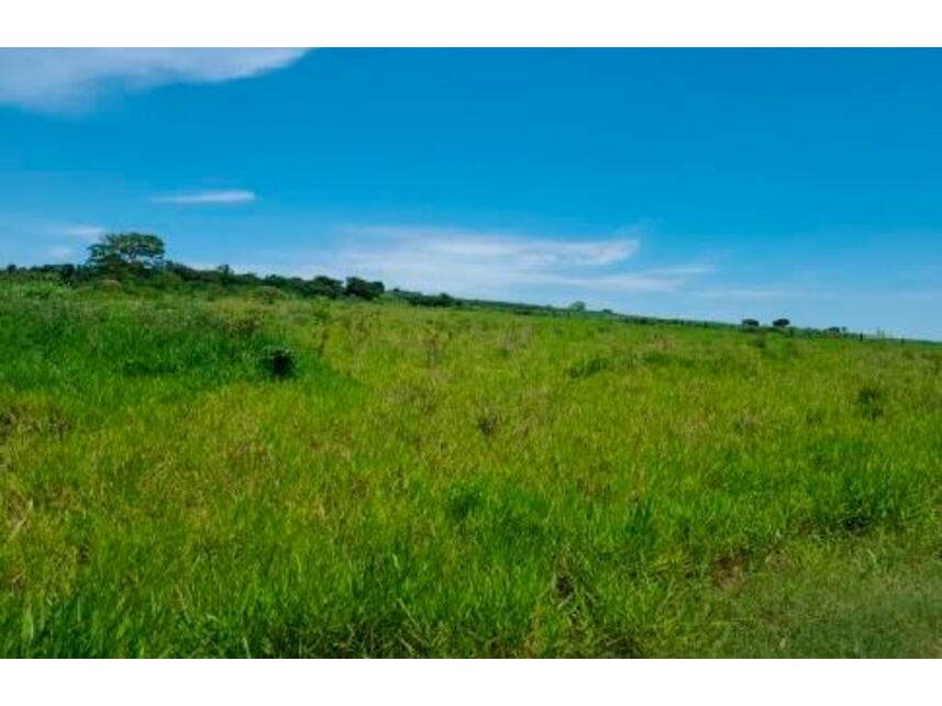 Imagem 11 do Leilão de Áreas Rurais - Zona Rural - Paranavaí/PR