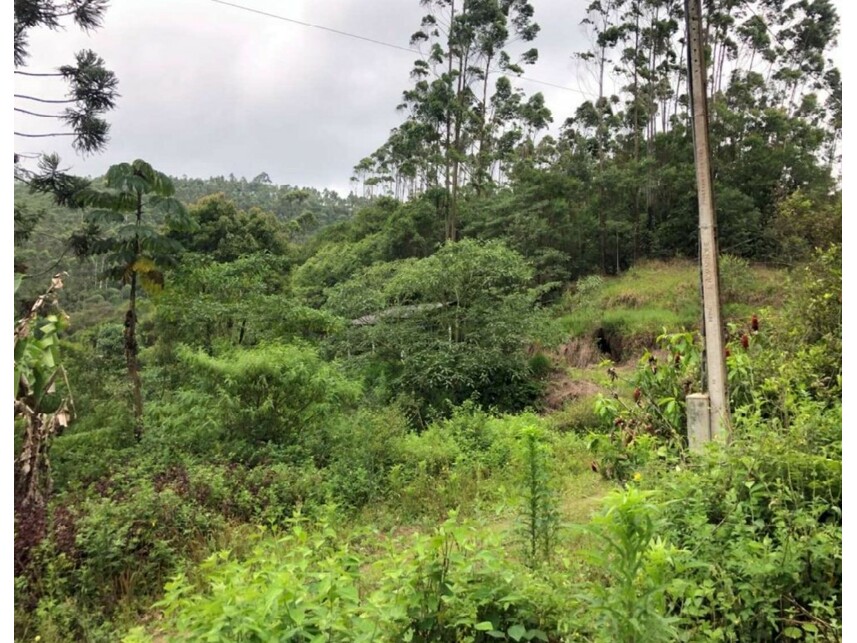 Imagem 3 do Leilão de Área Rural - Verava - Ibiúna/SP