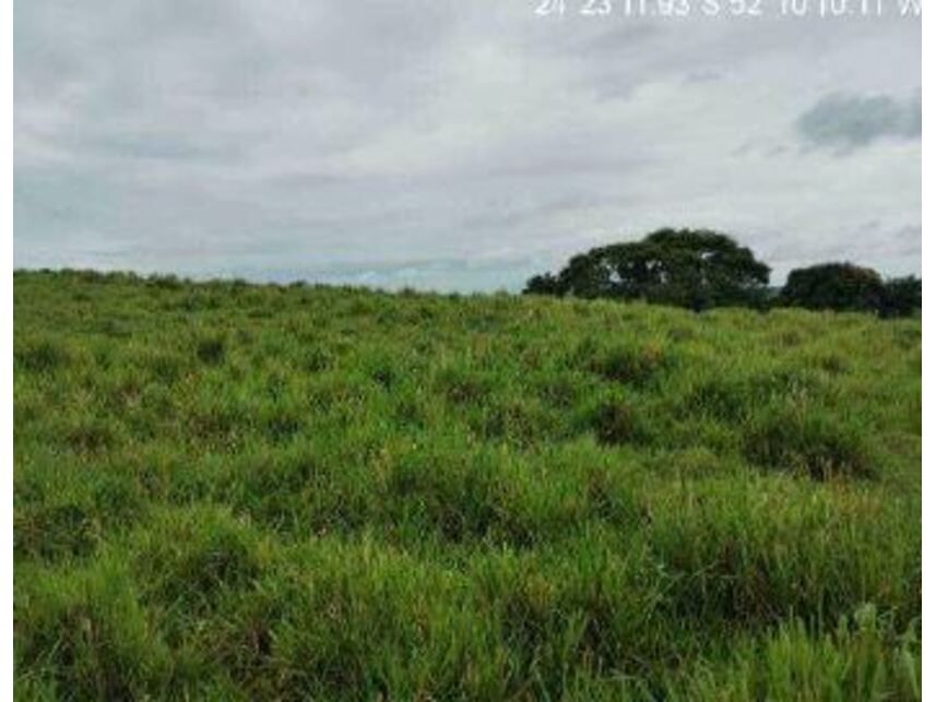 Imagem 8 do Leilão de Área Rural - Zona Rural - Iretama/PR