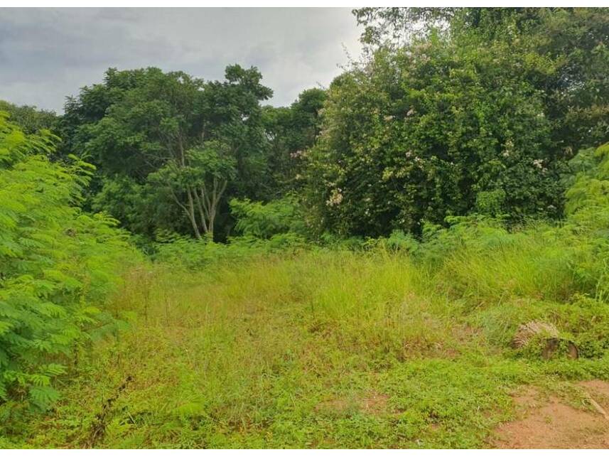 Imagem 9 do Leilão de Terreno - Itanguá - Sorocaba/SP