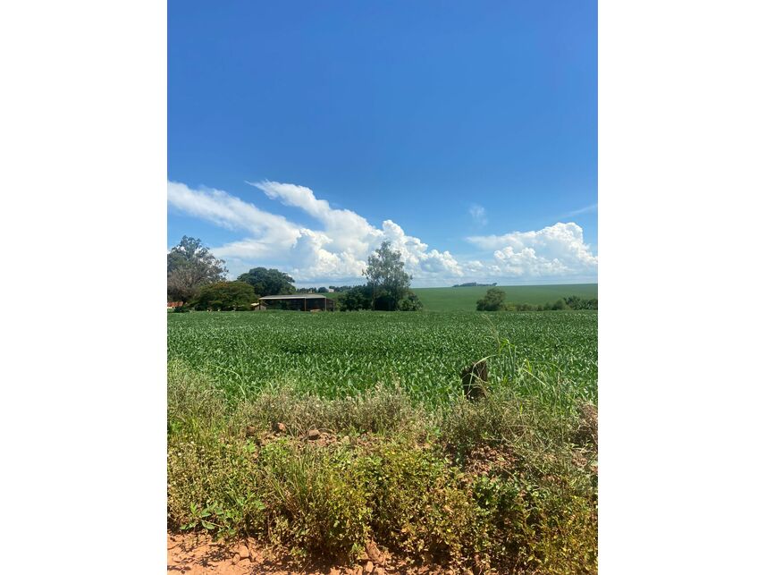 Imagem 3 do Leilão de Gleba de Terras - Zona Rural - Maracaí/SP