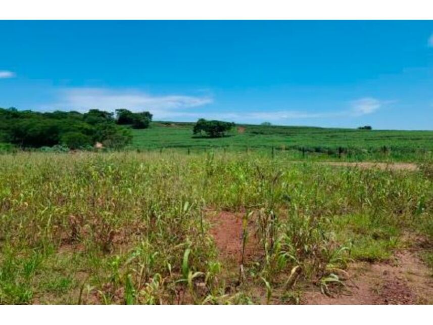 Imagem 5 do Leilão de Áreas Rurais - Zona Rural - Paranavaí/PR