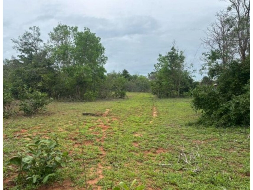 Imagem 4 do Leilão de Fazenda - Zona Rural - Bom Jesus de Goiás/GO