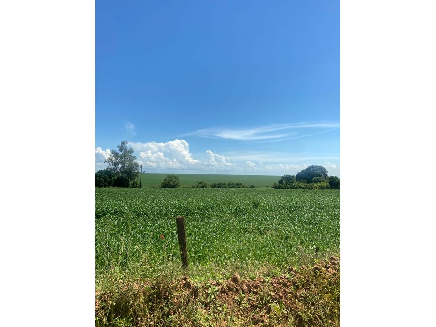 Imagem 2 do Leilão de Gleba de Terras - Zona Rural - Maracaí/SP