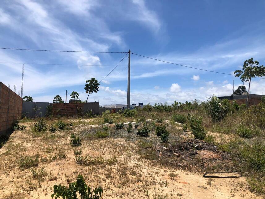 Imagem 4 do Leilão de Fazenda - Zona Rural - Camaçari/BA