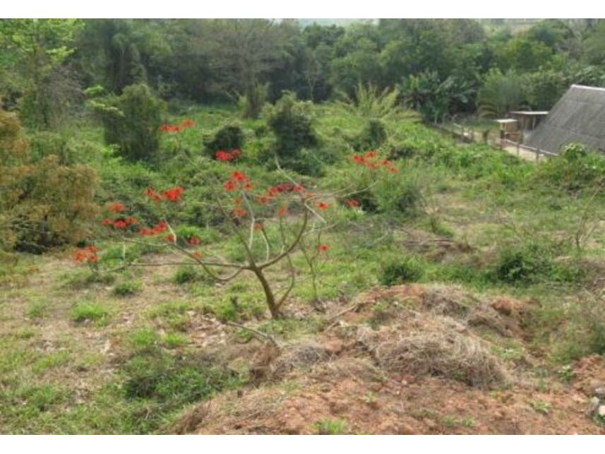 Imagem 5 do Leilão de Terreno - Vivendas do Engenho D'Água - Itatiba/SP