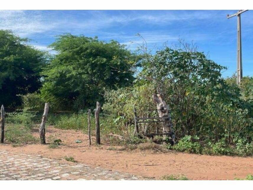 Imagem  do Leilão de Terreno - Pé da Serra - Areia Branca/RN