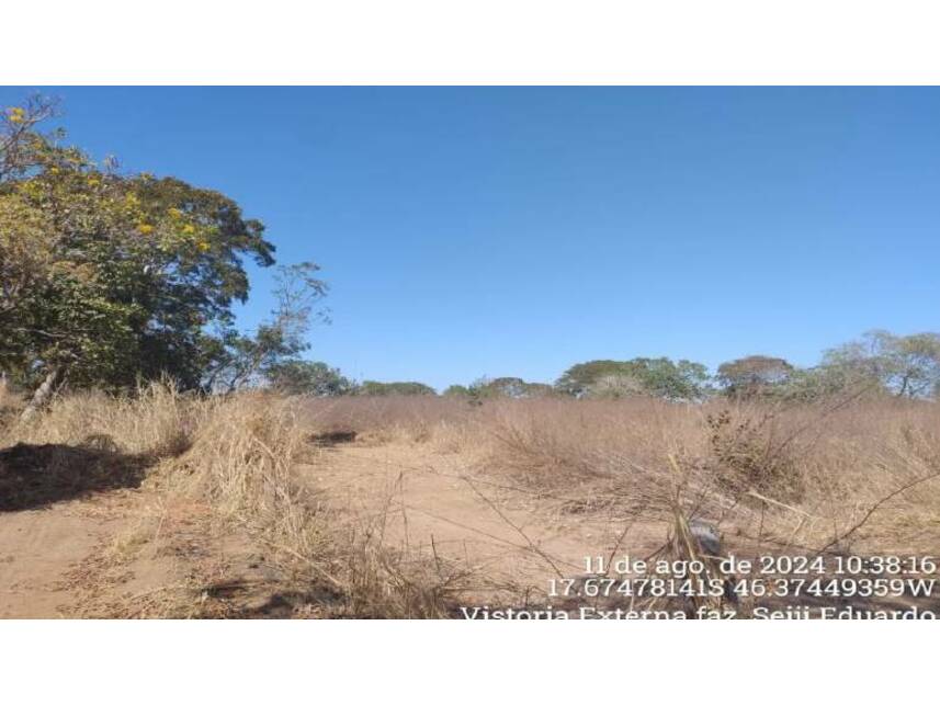 Imagem 4 do Leilão de Fazenda - Fazenda Gameleira - Lagoa Grande/MG