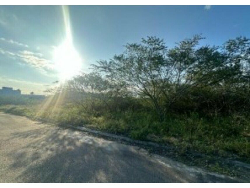 Imagem 3 do Leilão de Terreno - Conceição - Feira de Santana/BA