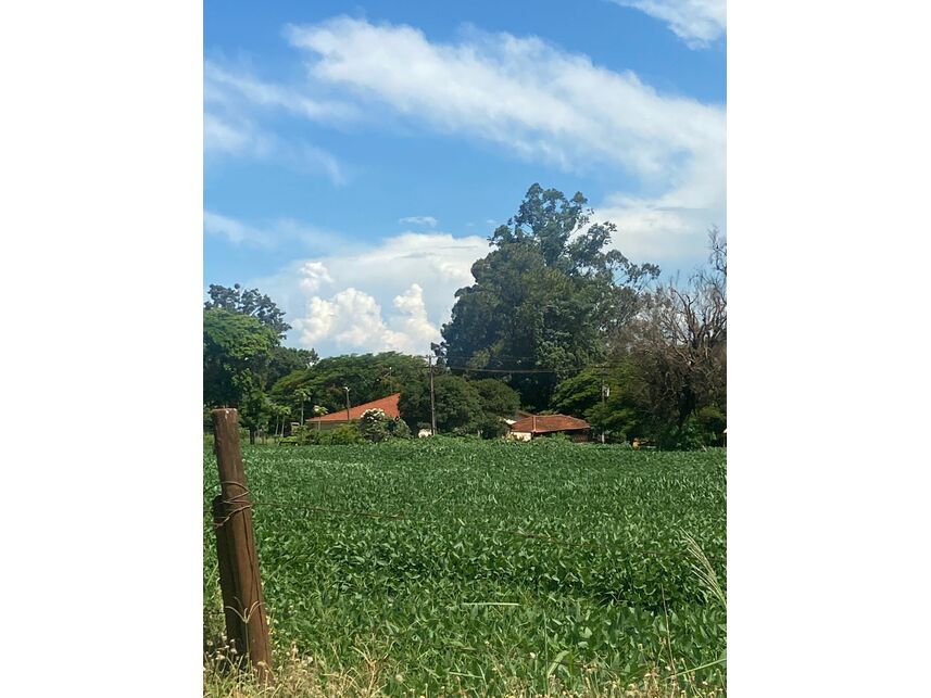 Imagem 4 do Leilão de Gleba de Terras - Zona Rural - Maracaí/SP