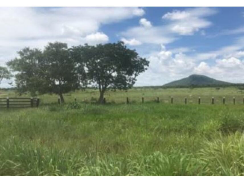 Imagem 7 do Leilão de Área Rural - Área Rural - Santo Antônio do Leverger/MT