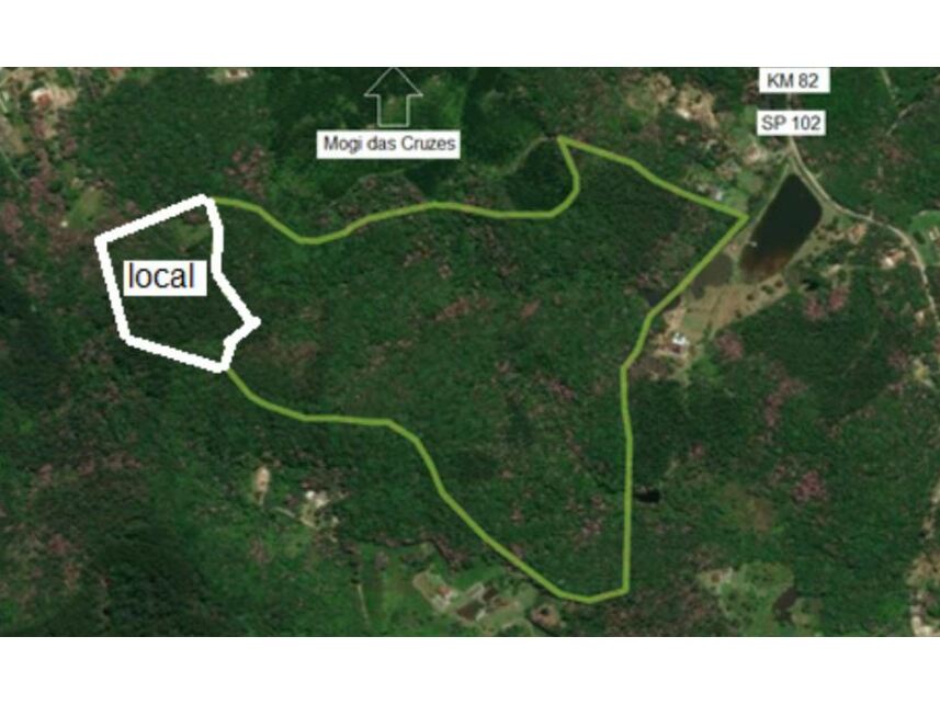 Imagem 1 do Leilão de Área Rural - Taiaçupeba - Mogi das Cruzes/SP