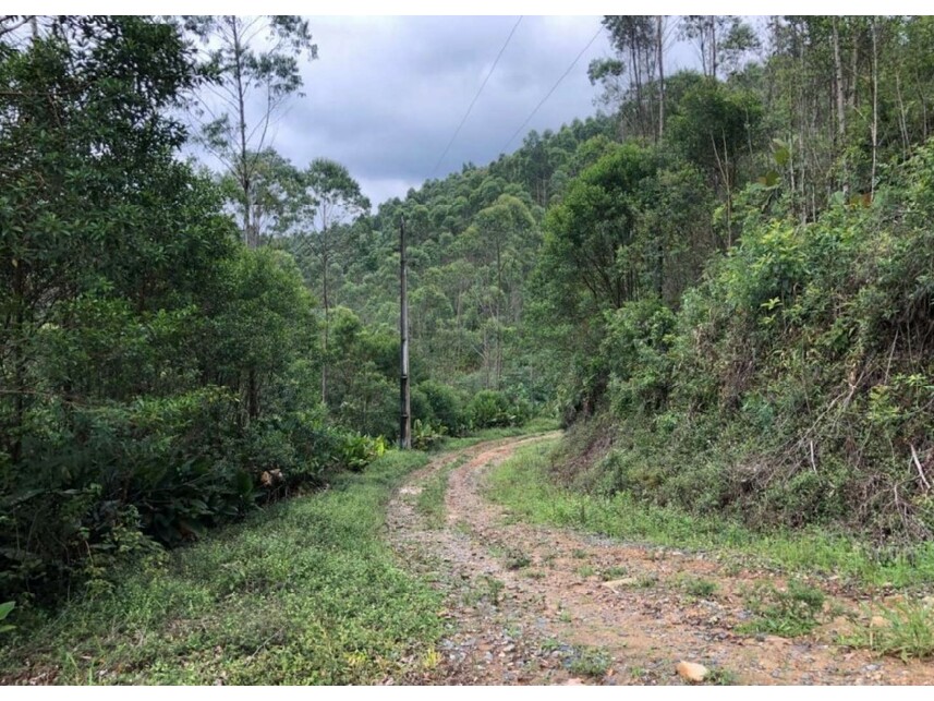 Imagem 2 do Leilão de Área Rural - Verava - Ibiúna/SP