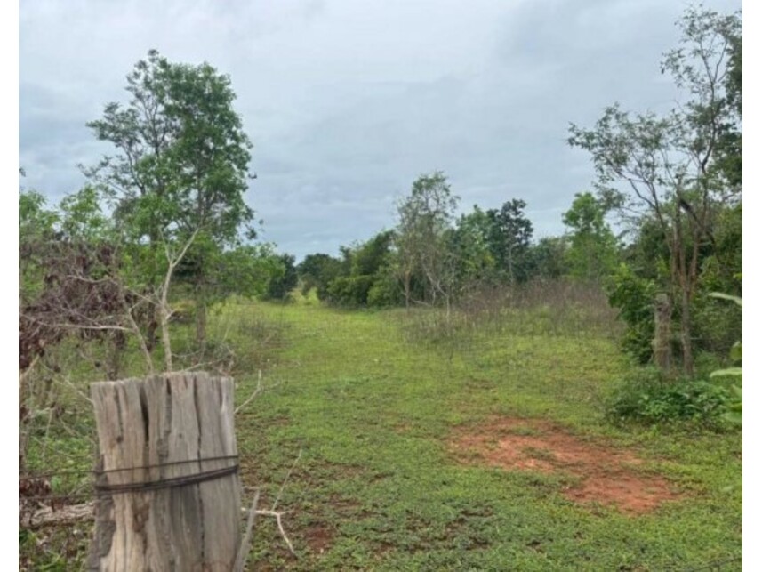 Imagem 3 do Leilão de Fazenda - Zona Rural - Bom Jesus de Goiás/GO