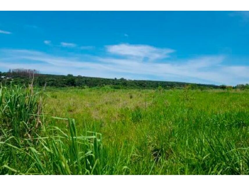 Imagem 6 do Leilão de Áreas Rurais - Zona Rural - Paranavaí/PR