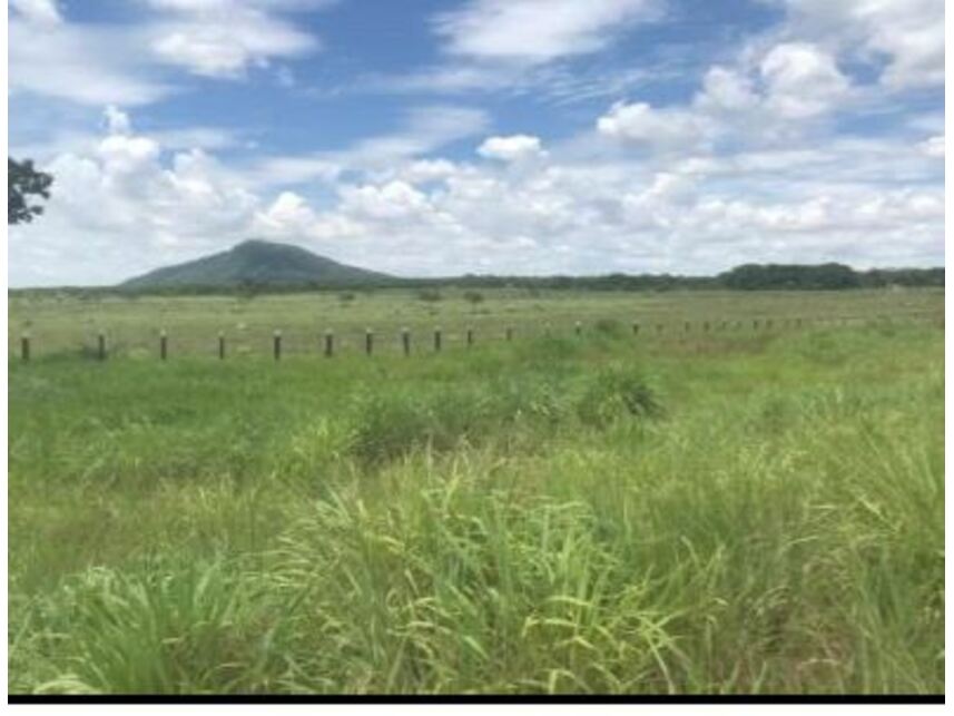 Imagem 11 do Leilão de Área Rural - Área Rural - Santo Antônio do Leverger/MT