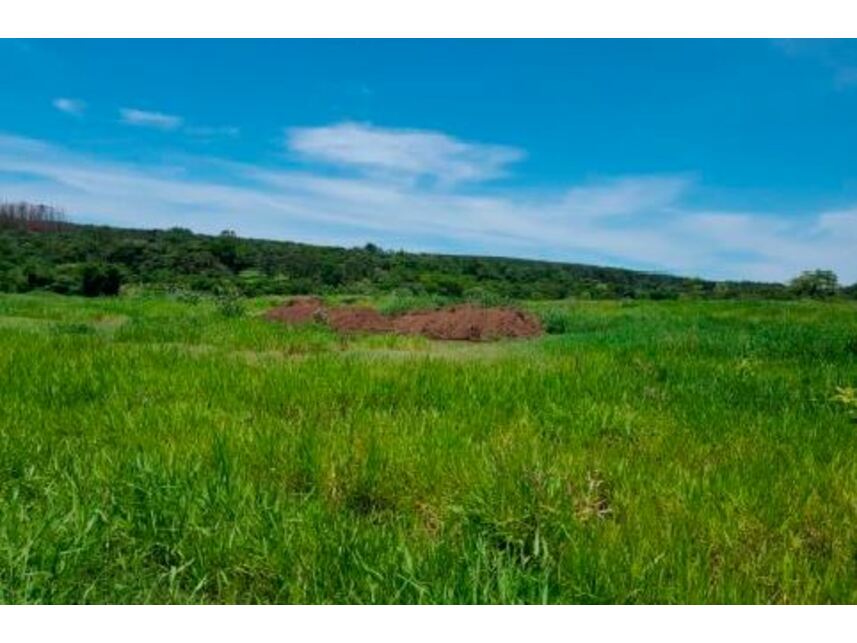 Imagem 10 do Leilão de Áreas Rurais - Zona Rural - Paranavaí/PR