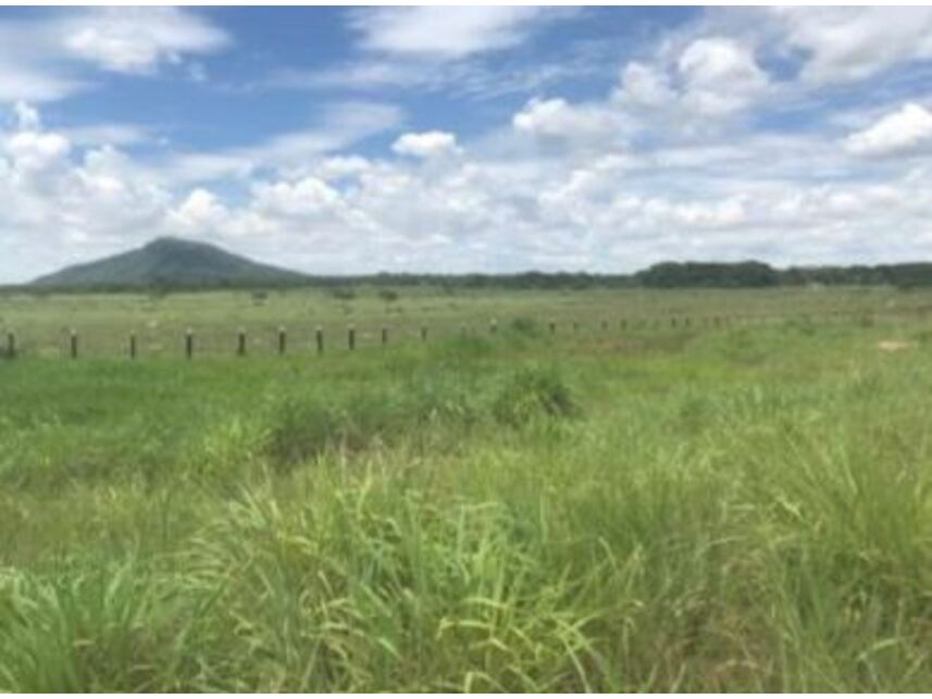 Imagem 6 do Leilão de Área Rural - Área Rural - Santo Antônio do Leverger/MT