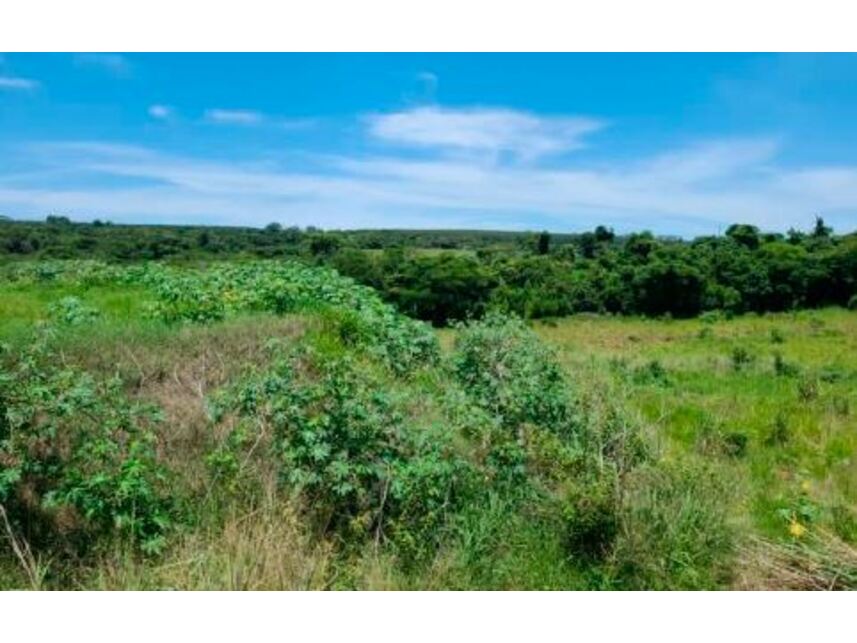 Imagem 7 do Leilão de Áreas Rurais - Zona Rural - Paranavaí/PR