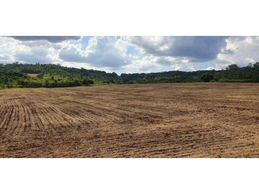 Imagem 9 do Leilão de Terreno - Parque Industrial - Maringá/PR