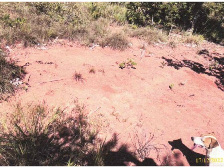 Imagem 2 do Leilão de Área Rural - Loteamento Rio Maranhão - Planaltina/GO