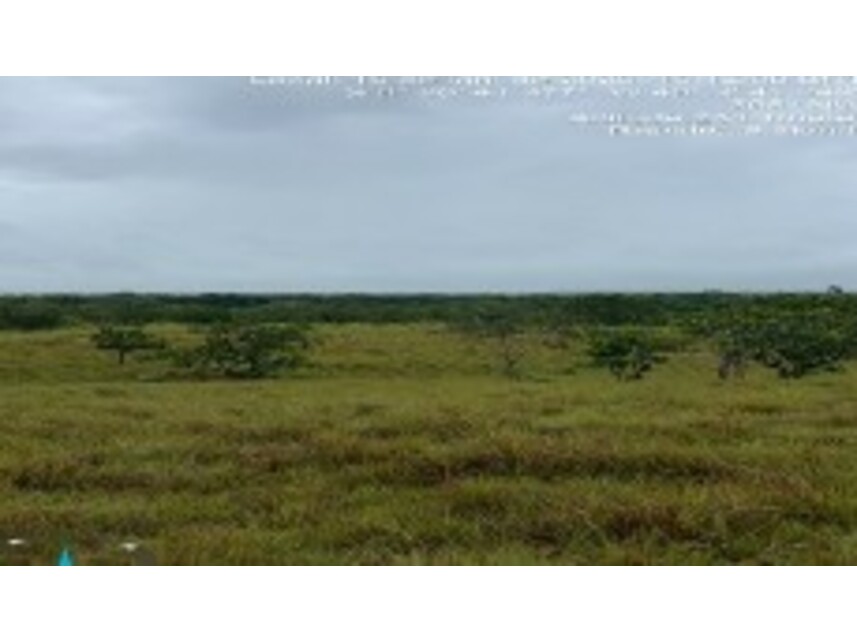 Imagem 4 do Leilão de Área Rural - Zona Rural - Dois Irmãos do Tocantins/TO