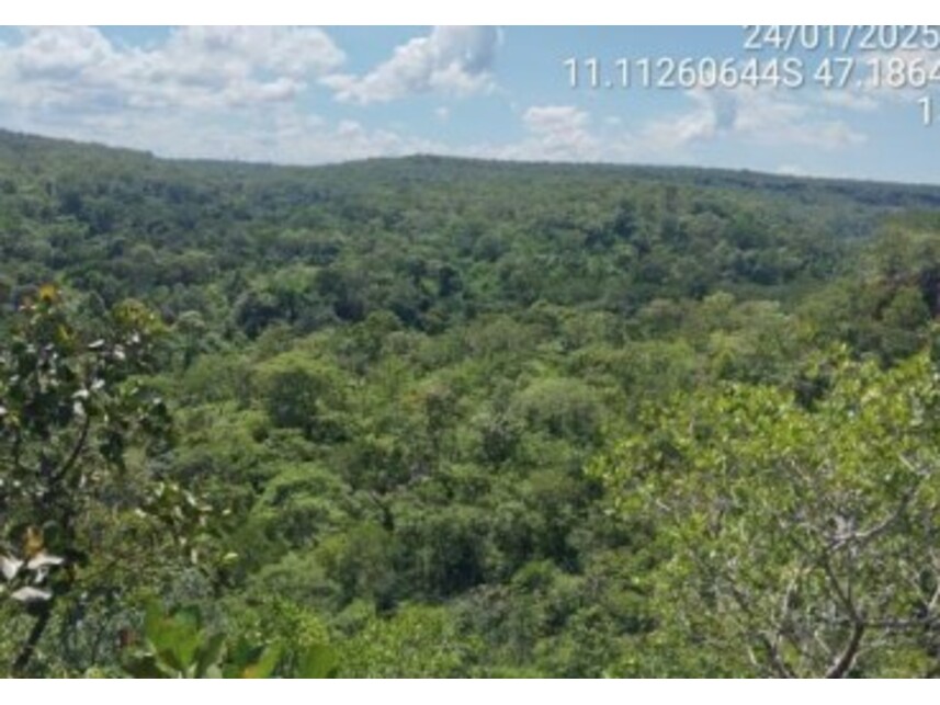 Imagem 4 do Leilão de Fazenda - Loteamento Gleba Água Limpa - Almas/TO