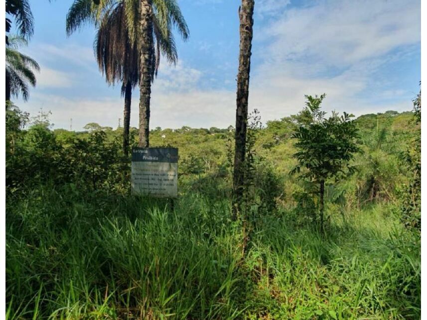 Imagem 6 do Leilão de Terreno - Braúnas - Belo Horizonte/MG