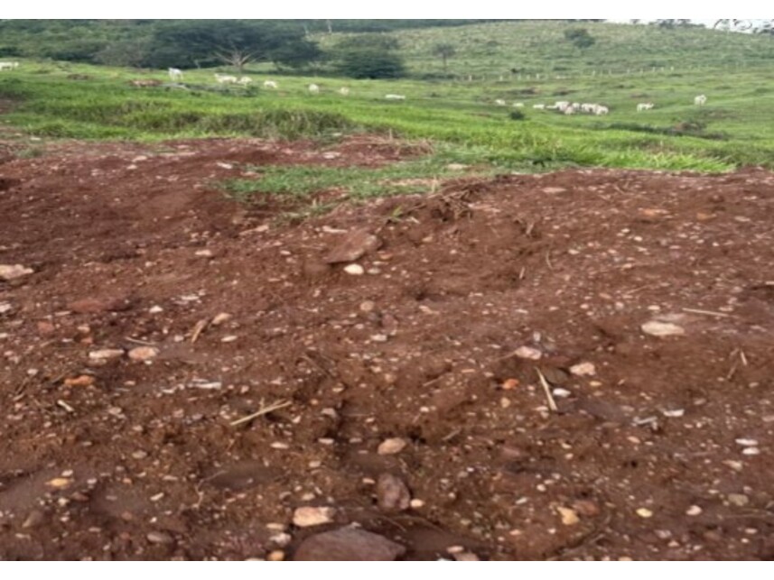 Imagem 2 do Leilão de Área Rural - Zona Rural - Hidrolina/GO