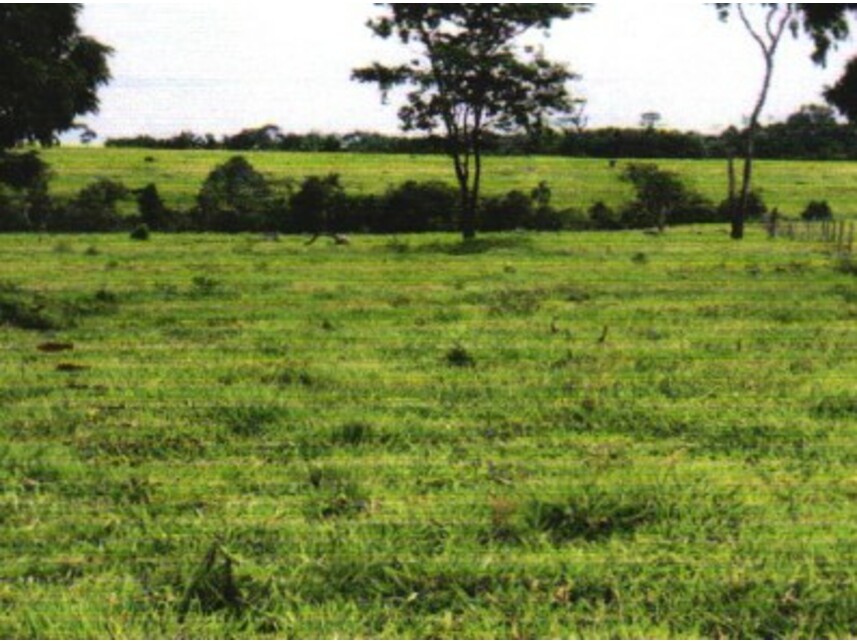 Imagem 4 do Leilão de Área Rural - Zona Rural - Colorado do Oeste/RO